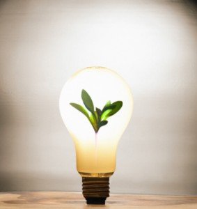 You are currently viewing 24-Nov: Dia Nacional da Cultura Científica – Pela boa prática clínica