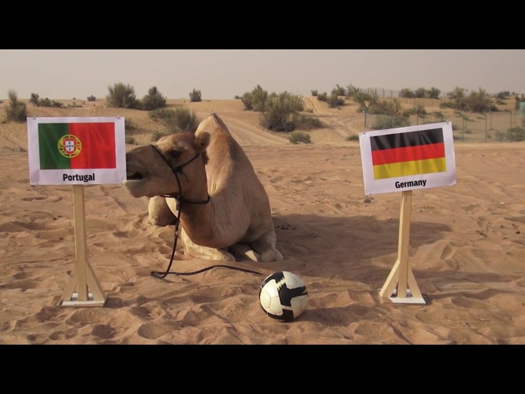 Read more about the article “Portugal Vs Alemanha, a superstição puxa para a Alemanha”