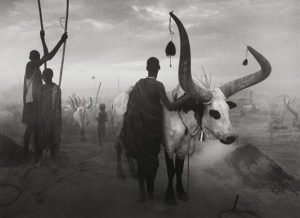 Genesis - Sebastião Salgado
