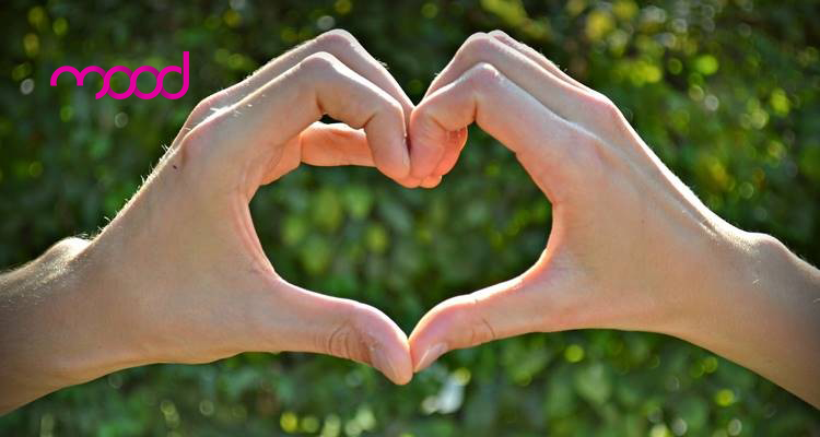 You are currently viewing Perdão não é submissão