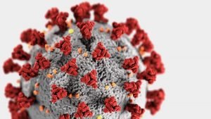 Read more about the article COVID-19: Panic is the most devastating symptom